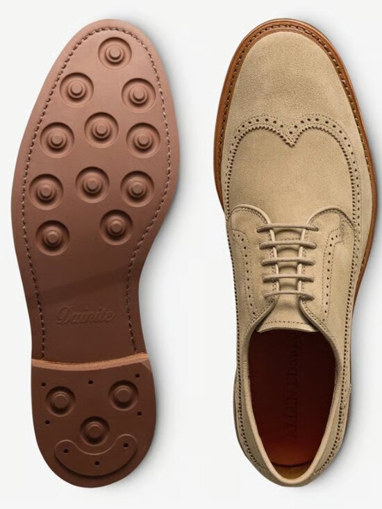 NWT Allen Edmonds Winstonmok Wingtip Derby Dress Shoe